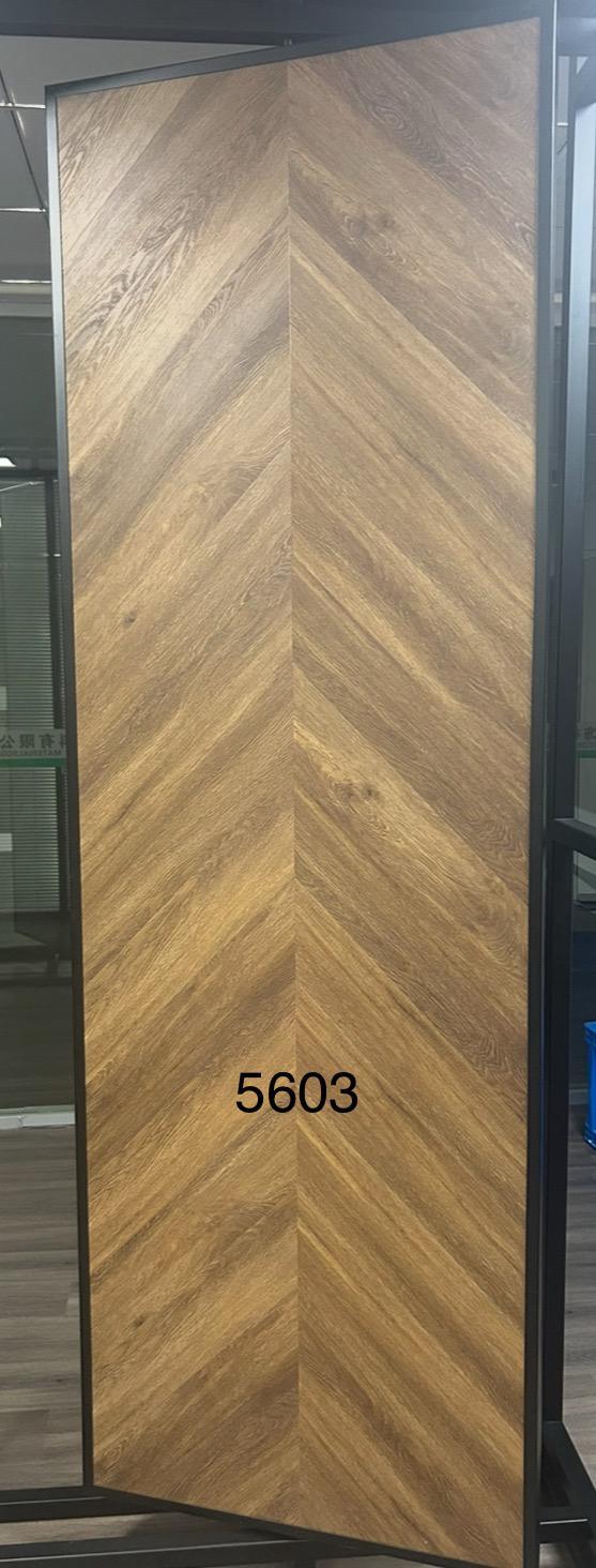 Collections undefined 2